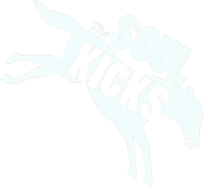 The soulkicks logo