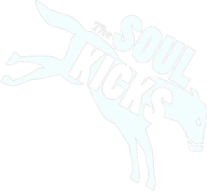 The soulkicks logo